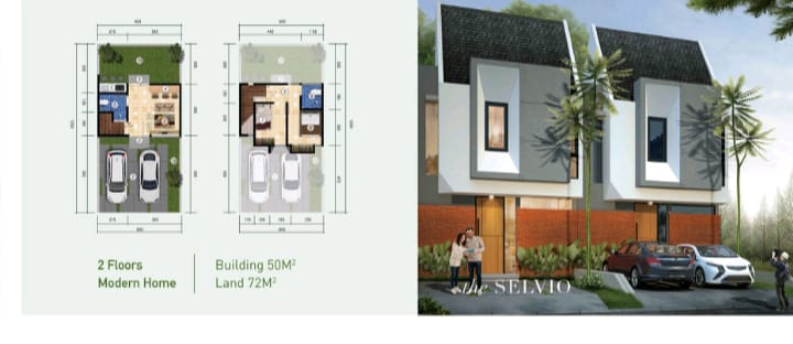 Layout The Selvio